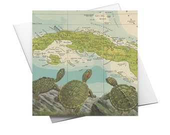 Turtles Dreaming Greeting Card- Blank Card