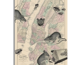 Vintage Map Art, Rats and Roaches, New York City, NYC Map Canvas Art