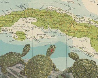 Turtle Cuba Map Art Collage Print, 10x10 Collaged Map Art Print