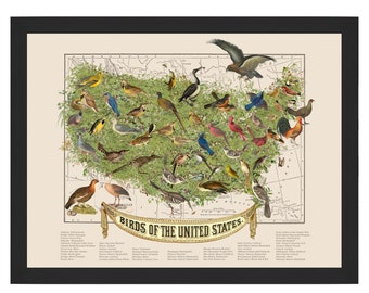 USA State Birds Collage Map Art Print by Wendy Gold, State Bird Art