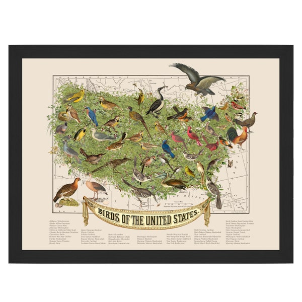 USA State Birds Collage Map Art Print by Wendy Gold, State Bird Art