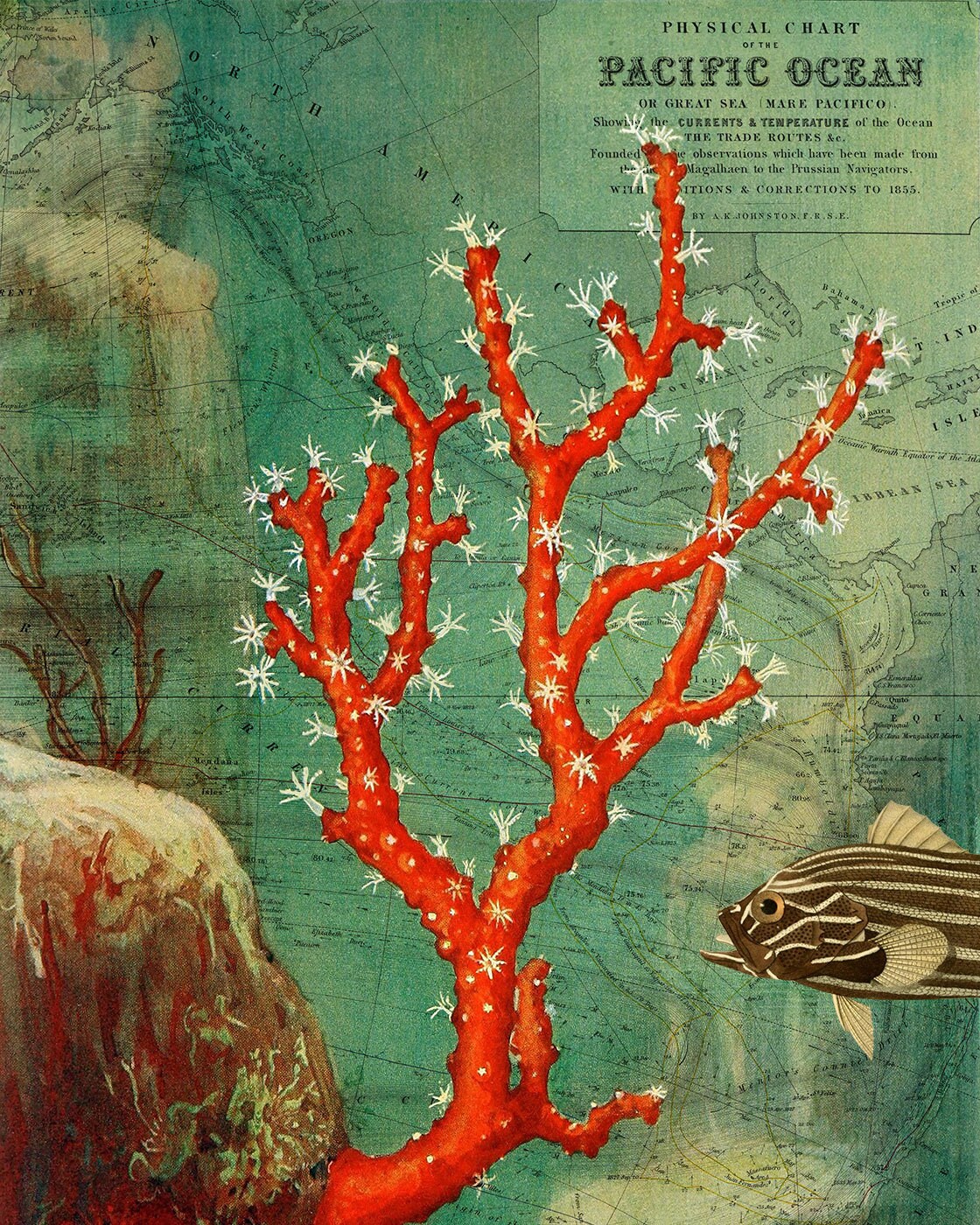Pacific Ocean Coral Map Art Collage Print, 8x10 Collaged Map Art Print