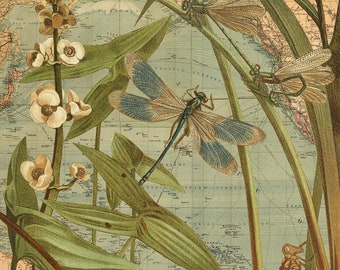 Dragonfly Map Art Print: Vintage Collage, Wendy Gold Studios (10x10)