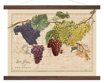 Vintage Map Art Canvas, Wine Grapes of the World, World Wine Map