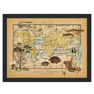 May include: A vintage map of the world with ocean currents marked in blue. The map is decorated with colorful fish, coral, and seashells. The text "CHART OF THE OCEAN CURRENTS" is at the bottom of the map.