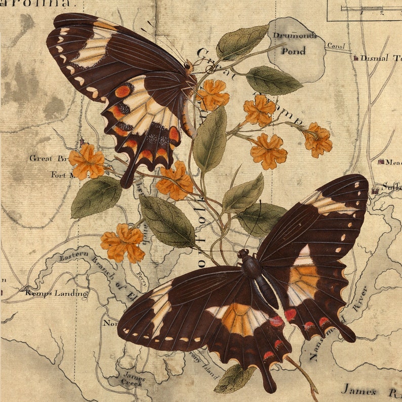 Collaged Map Art Print Butterfly and Flowers Map Art Collage Print