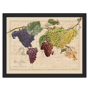 Vintage World Wine Map Art Print: Grapes of the World
