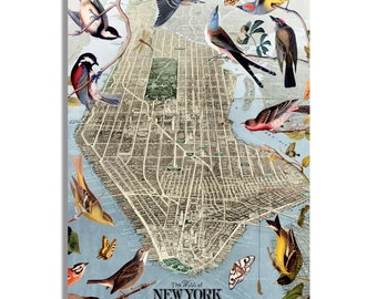 Vintage Map Art, Wilds of New York, New York Birds, Canvas Map Art