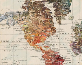 Mushroom World Mycologist Map, 10x10 Collaged Map Art Print