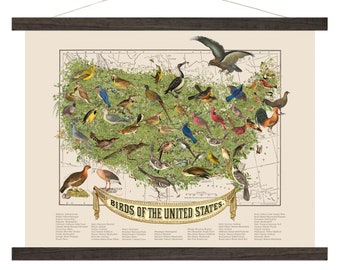 Vintage Map Art, State Bird, USA State Bird Canvas Map Art