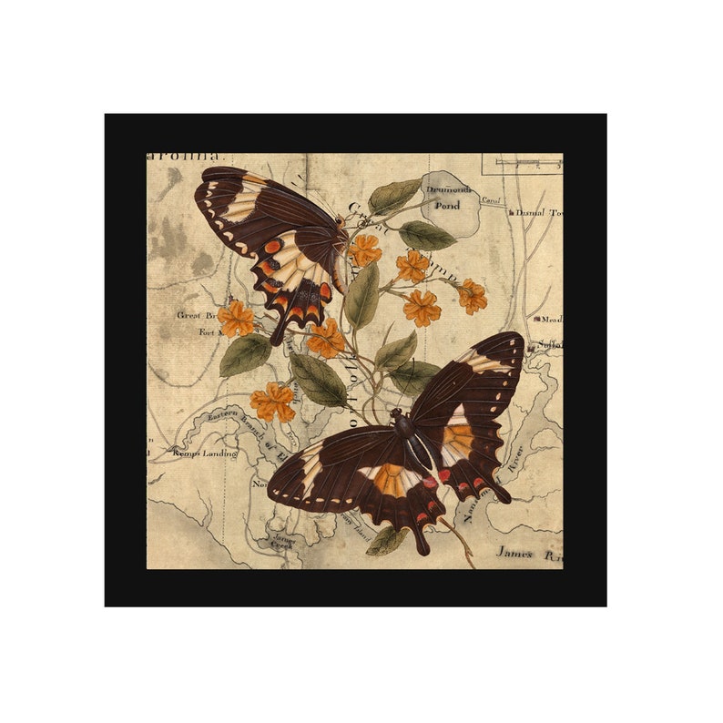 Collaged Map Art Print Butterfly and Flowers Map Art Collage Print