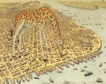 San Francisco Giraffe Map Art Collage Print, 10x8 Collaged Map Art Print