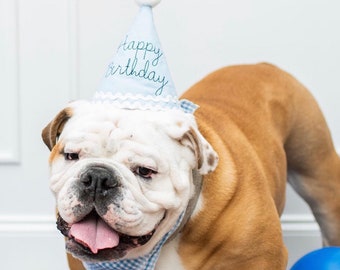 Dog Birthday Hat - Blue and white birthday - Dog party hat - Dog cake smash - Dog birthday - blue gingham birthday