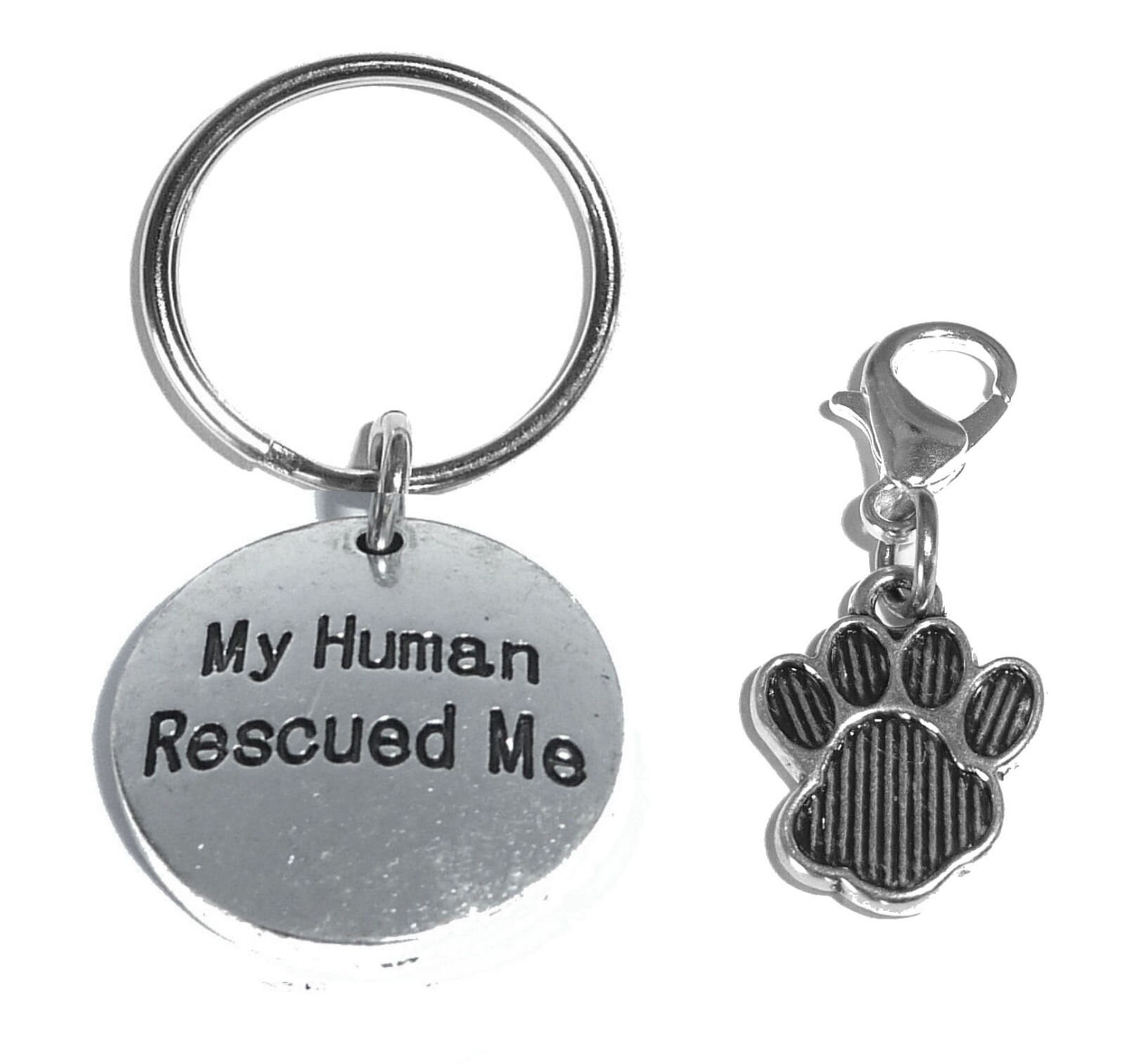 Custom Pet Dog Tags. Cat Tags Funny Cute Sayings for Your Etsy