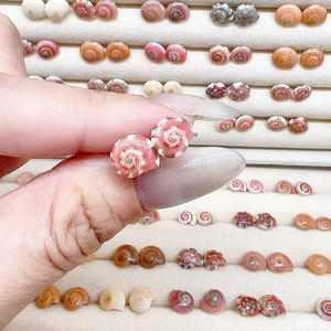 以下が含まれることがあります： ピンク、白、茶色など、さまざまな色の天然シェルスタッドイヤリングのディスプレイ。 イヤリングは白い表面に配置され、上部に「CHOOSE YOUR STYLE NATURAL SHELL STUDS」というテキストが表示されています。