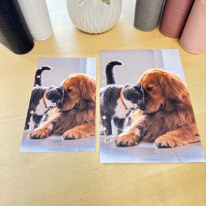 May include: Two printed cards featuring a Golden Retriever and a gray cat in a tender moment. The dog has golden fur, and the cat is wearing a collar. The cards are on a light wood surface, with decorative vases in the background.