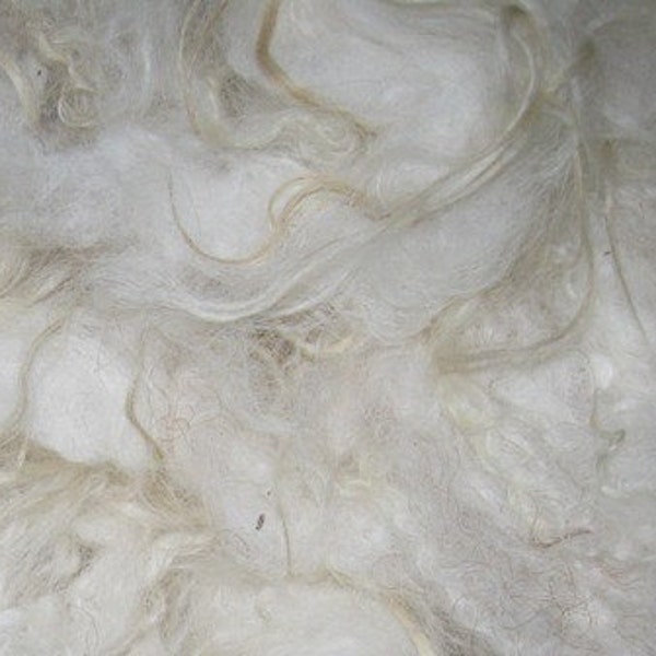 Icelandic Lamb fleece , 4 ounces, Beautiful White