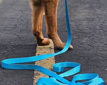 Sky Blue reflective nylon long line leash. Dual-layered flat webbing. 13 foot by 1 inch. Ideal for police k9 and dog sports.