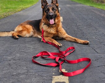 Red nylon long line leash. Dual-layered flat webbing. 13 foot by 1 inch. Ideal for police k9 and dog sports.