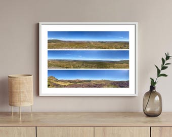 The Cheviots Purple Heather - Scenic Panoramic Photography - A3 Print