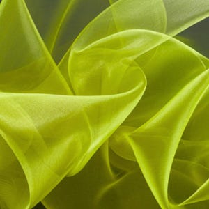 lime green 15 dresses Ball Gown Sage Green Tulle Quinceanera Dress With Butterflies main image 0