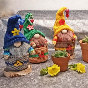 Può includere: Una collezione di gnomi all'uncinetto fatti a mano, con lunghe barbe bianche e abiti colorati. Ogni gnomo ha un colore di cappello diverso, come blu, verde, giallo e rosso. Alcuni gnomi tengono piccoli cuori e fiori. Sono presenti anche piccoli vasi di terracotta con succulente.
