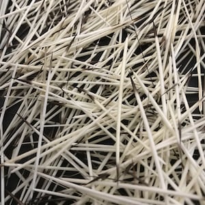 400 THIN Porcupine Quills