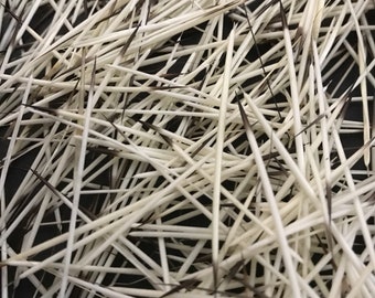 400 THIN Porcupine Quills