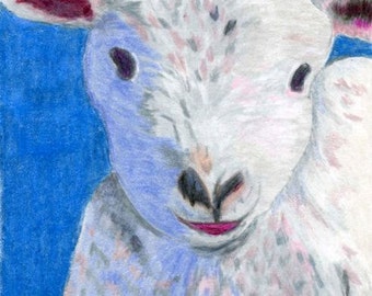 Cuddly Lamb Colored Pencil painting reproduction 5 x 7 Cute Sheep