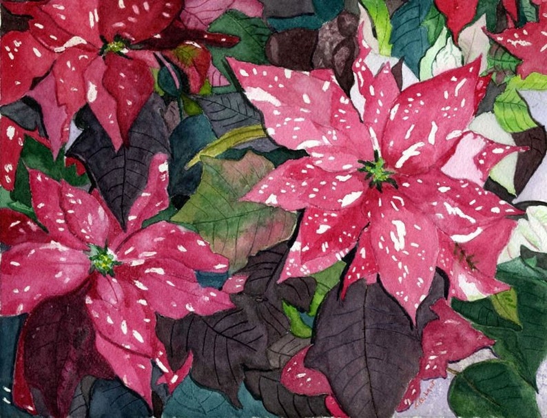 Christmas stationeryred/stationery paper/stationery Christmas Poinsettia Plants Watercolor Painting Giclee | Etsy