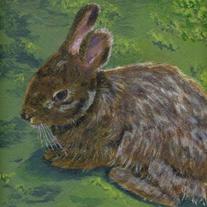 Cottontail Bunny Rabbit Fine Art Print of Acrylic Painting 8 X 8.3 Inches