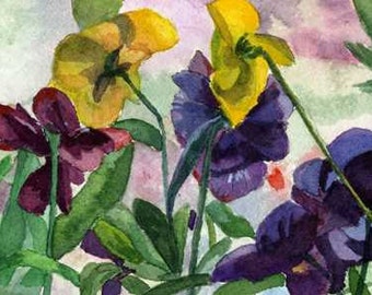 Pansy Field Purple Yellow watercolor Giclee Reproduction 4x11