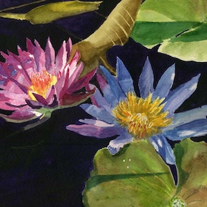 Pink and Blue Water lilies watercolor Giclee Reproduction 8x10