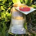 Goat milk soap gift set, Wedding favor, Bridesmaid gift, gift for her, gift for him,  care gift set, gift under 15,  Florida, sunshine gift