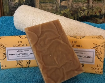 Chaga goat milk soap, wild harvested chaga, pure chaga, Turmeric chaga soap, rosemary chaga soap, raw Florida Honey Chaga soap, calendula