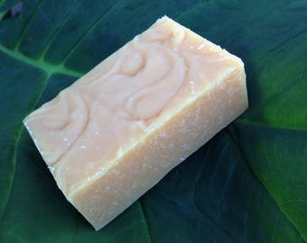 Rainforest Goat Milk Soap, gift for her, gift for coworker, gift for him, wedding favor, groomsmen gift, gift under 10, Florida, Airbnb