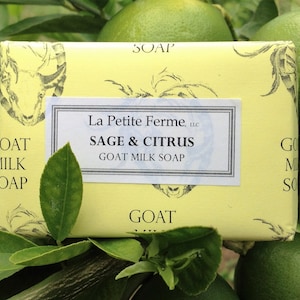 Sage and Citrus goat milk soap, refreshing, wedding favor, gift for her, gift for him, gift under 10, wedding shower, farmhouse gift, image 1