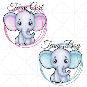 Team boy bundle png, Team girl bundle png, digital download for sublimation, gender reveal png design, Team girl svg, Team boy svg