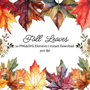 Fall Leaves Clipart Fall Leaves Clip art Fall Leaves PNG Fall Leaves SVG Autumn Leaves Clipart Autumn Leaves Clip art Fall Leaves Clip Art