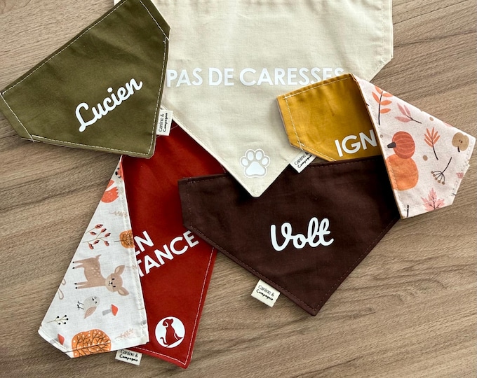 Featured listing image: Dog bandana, personalized bandana, reversible bandana, dog gift, dog accessory, dog collar, handmade, dog bandana, autumn
