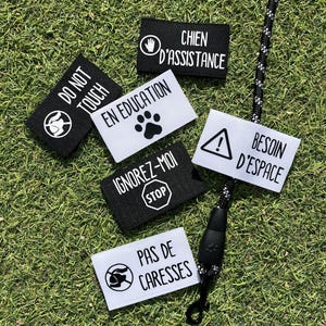 Mini Dog Leash Sleeve / Dog Leash Sleeve / No Touching / No Petting / Need Space