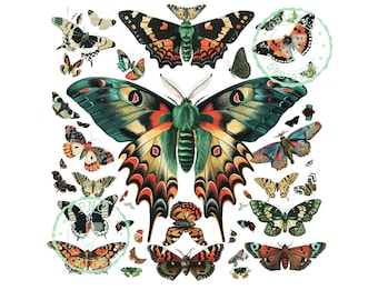 Moth Illustration png, Png for Nature Lovers, Vibrant and Unique Art Png, Butterfly png, Moth png, Weirdcore Moth png, whimsigoth png