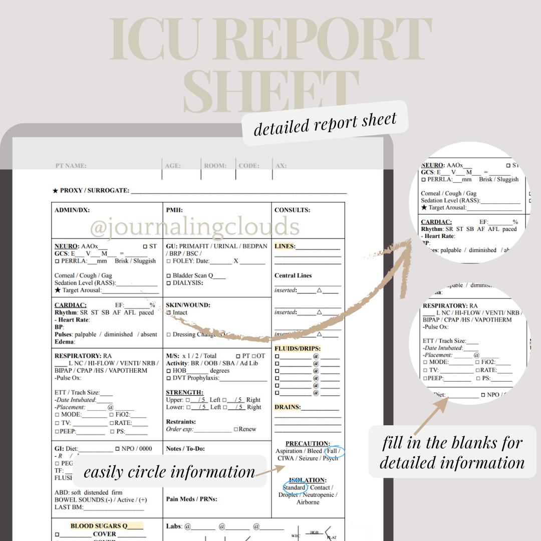 Icu Pilot Rounding Diagram ICU Nurse Report Sheet With Hourly Rounding (digital Download) - Etsy