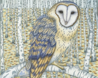 Fine art print of an original painting: 'Barn Owl Among the Birches'.