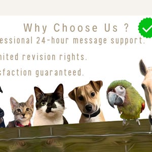May include: A graphic with a green checkmark and text that reads "Why Choose Us?" with three numbered points: 1. Professional 24-hour message support. 2. Unlimited revision rights. 3. Satisfaction guaranteed. The graphic features a variety of animals including a dog, cat, parrot, and horse looking over a wooden fence.