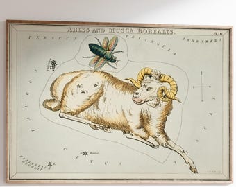 Aries Zodiac Wall Art Print – Antique Celestial Poster – Astrology Constellation Giclée Reproduction – Vintage Star Map Home Decor