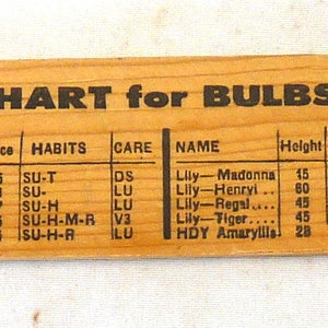Vintage New Garden Landscaping & Nursery Advertising Ruler 12
