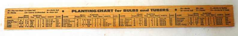 Vintage New Garden Landscaping & Nursery Advertising Ruler 12 Wood ...