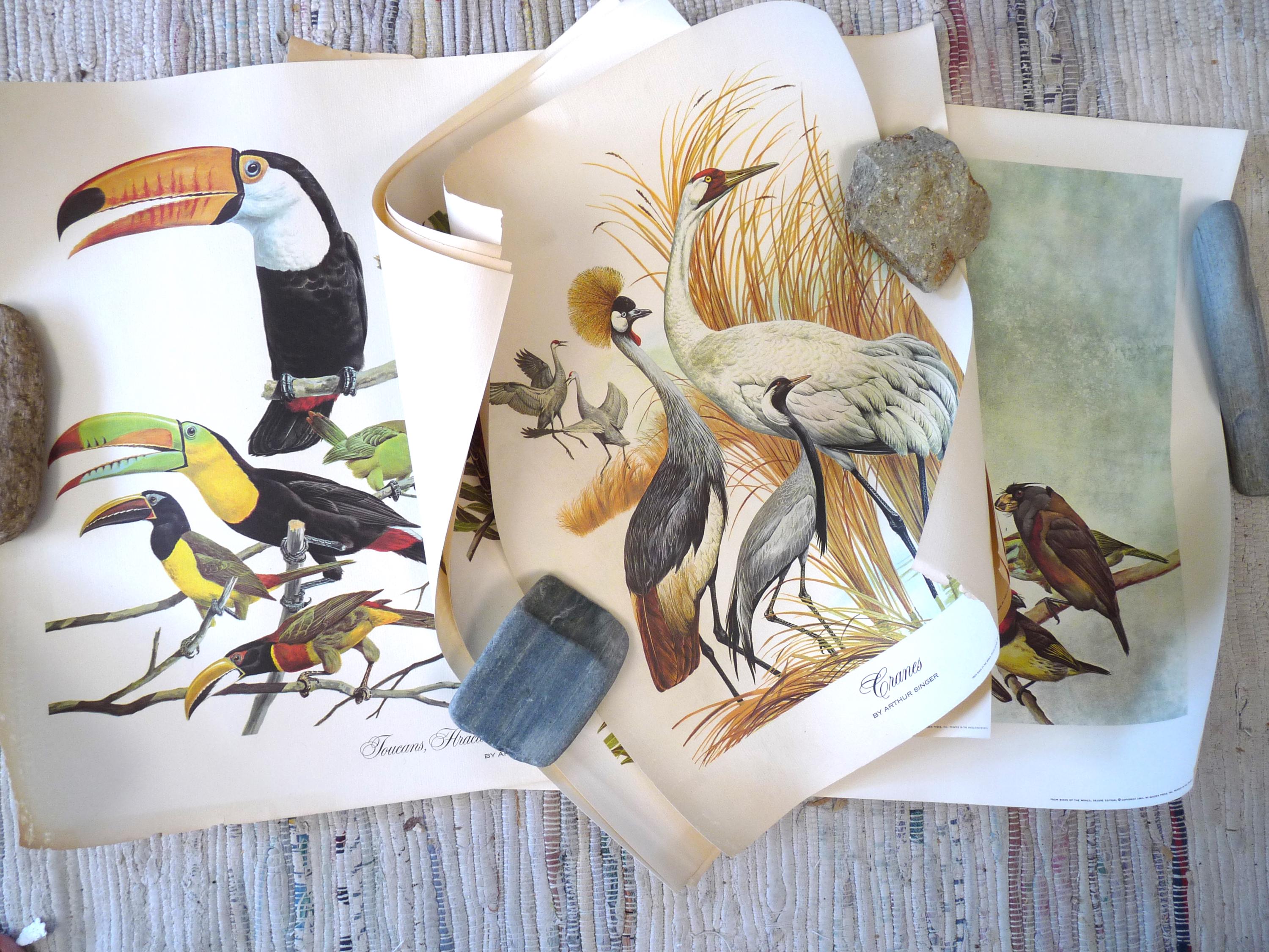 Arthur Singerアーサーシンガー！フラミンゴバレット。鳥のArtist Vintage Arthur Singer Bird Prints Set Of 8 | eBay