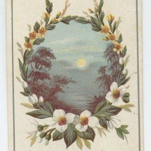 Christmas card Raphael Tuck Victorian vintage roses mon scene greeting antique roses moon scene image 1